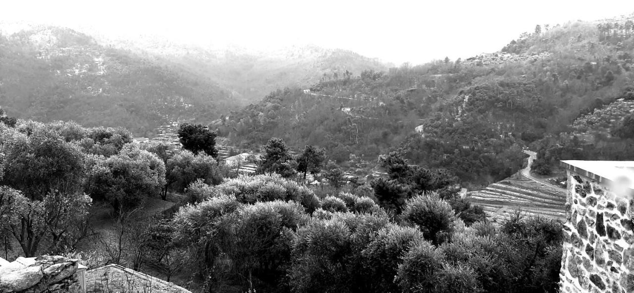 B&B L' Antica Macina Quiliano Exterior foto
