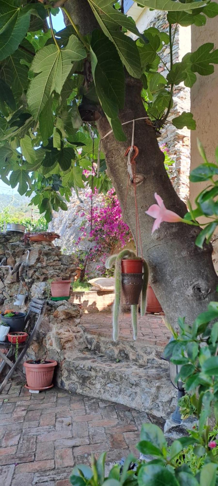 B&B L' Antica Macina Quiliano Exterior foto
