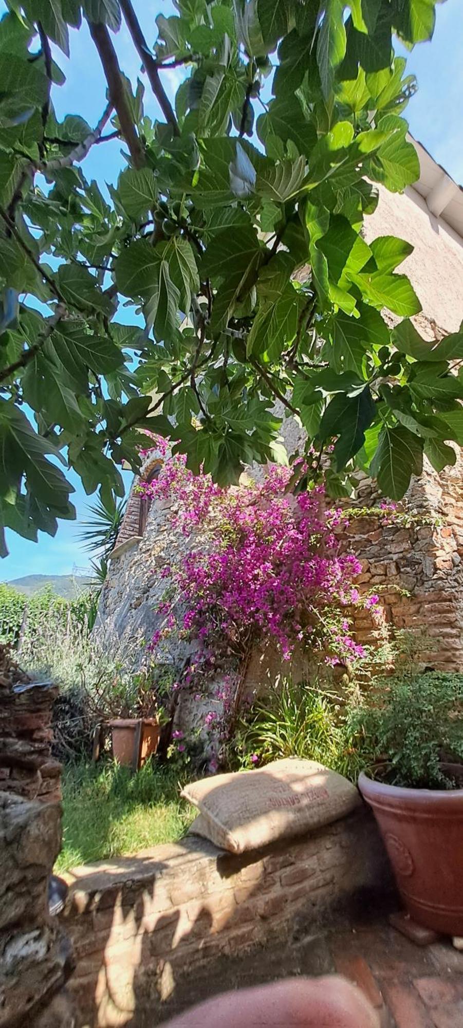 B&B L' Antica Macina Quiliano Exterior foto